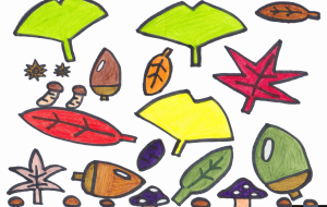 イチョウともみじとどんぐり - マーボー