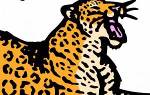 レオポン - シマハイエナ 