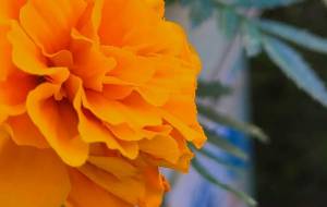 ようく、寝たな - 林田きよし 