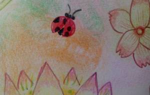 harmony… - サオリ 