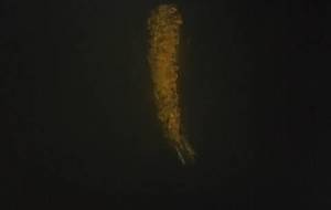 愛のエビフライ、愛すること、母さん - 真鍋哲地 