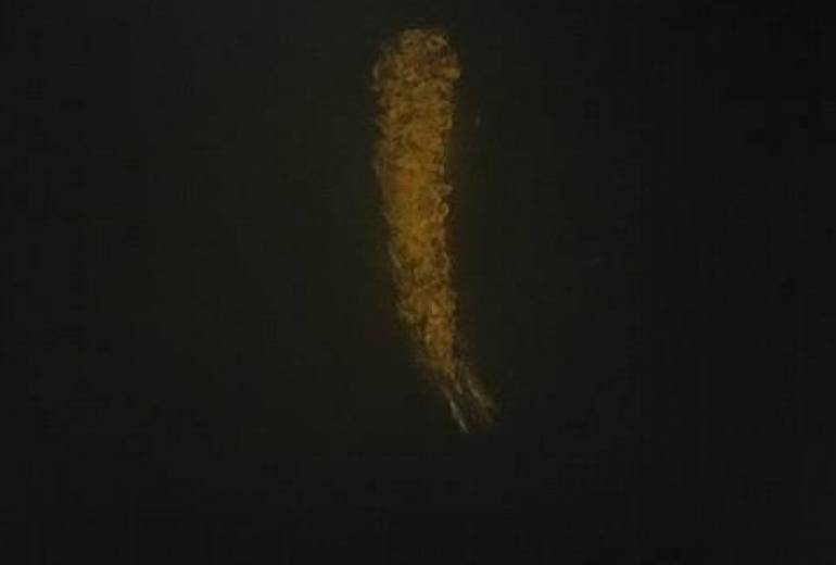 愛のエビフライ、愛すること、母さん