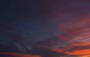 不思議な空 - 宇宙くらげ