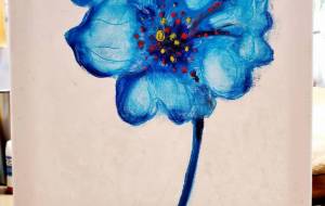 芍薬 - 松川永遠 