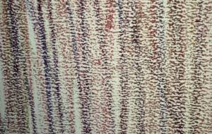 アール・ブリュット挑戦 - 笹谷正博 