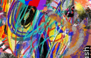 collageart - hakaalash 