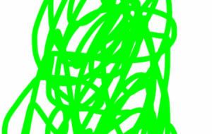 アール・ブリュット挑戦 - 笹谷正博 