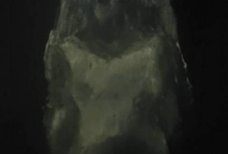 ウェディングドレス、異性に女性はシビアですね？！？！