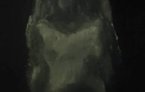 まあ僕は、一生独身だな、あ～あ、痛感する最近 - 真鍋哲地 