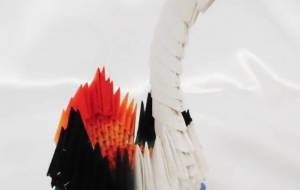 白鳥 - ヨシユキ