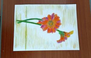 ガーベラの花 - 有本明史 