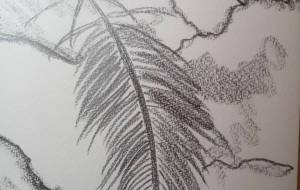 羽がふわりと…… - サオリ 