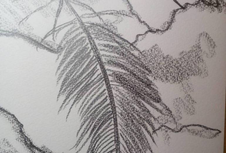 羽がふわりと……