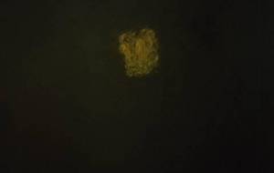 真心を込めて揚げおかきを描きました、黄金色にかがやく母さんの大好きなおかきです - 真鍋哲地