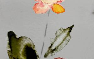 咲いた花、枯れた花1 - ぴぴ 