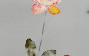 咲いた花、枯れた花2 - ぴぴ 