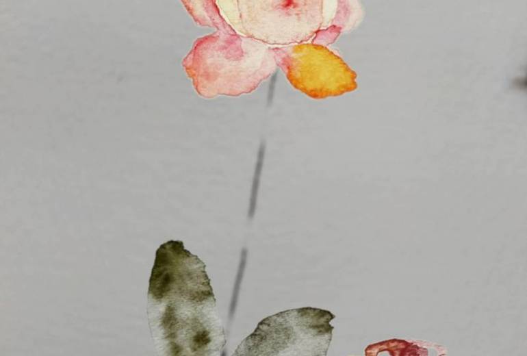 咲いた花、枯れた花2