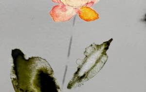 咲いた花のみバージョン - ぴぴ 