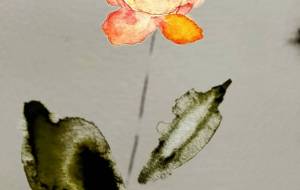 咲いた花枯れた花、しつこく色合いを弄った。 - ぴぴ 