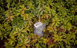 希望 - Yukihiro Sato 