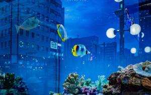 ナイトスイミング - Yukihiro Sato 