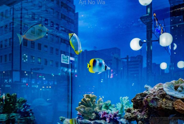 ナイトスイミング