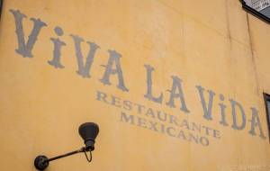 ViVA LA ViDA - Yukihiro Sato