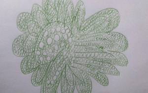 アール・ブリュット挑戦 - 笹谷正博 