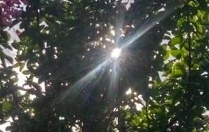 真鍋絵画ついて(これは写真作品です) - 真鍋哲地