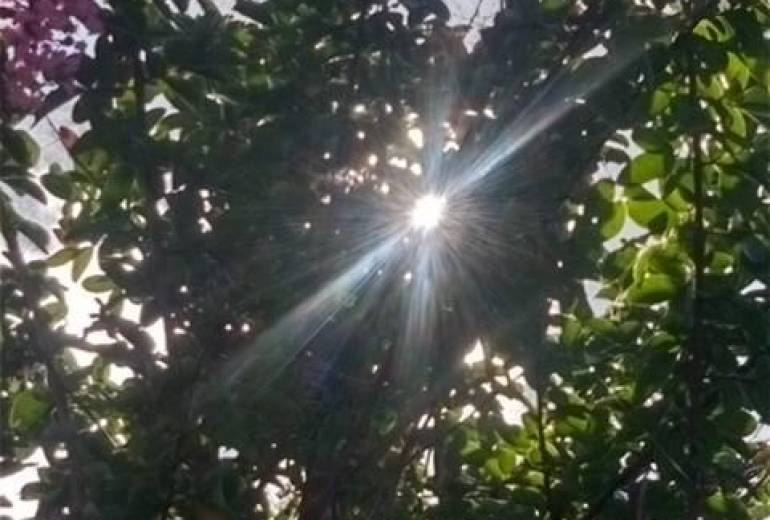 真鍋絵画ついて（これは写真作品です）