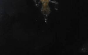 我！暗黒の闇を照らす、パニック障害者画家！我は暗黒妄想系投影症候群、統合失調症！！精神障がい炎！妄想不動 - 真鍋哲地 