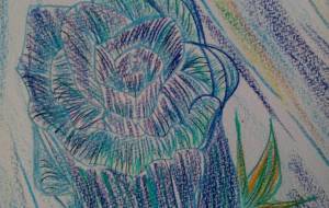 愛情を感じる昼下がりに…… - サオリ 