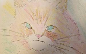 miracle…… - サオリ 