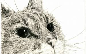 ひかり - 山田貴裕