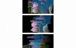 コスモスからカオス - Yukihiro Sato 