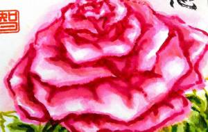 ピンクバラ - さとみ