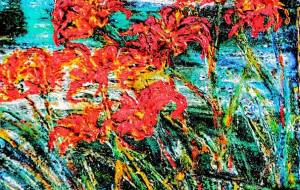 二ッコウきすゲ - 久保田　俊 