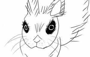 ドワーフホト - シャワー浴びノ助 