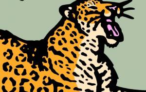 レオポン - シマハイエナ 