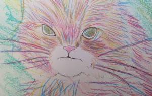 ワイルドキャッツ - サオリ 