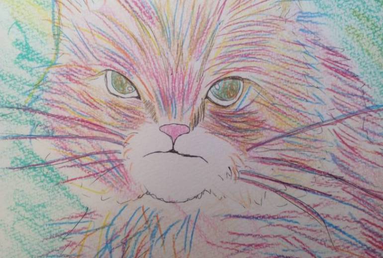 ワイルドキャッツ