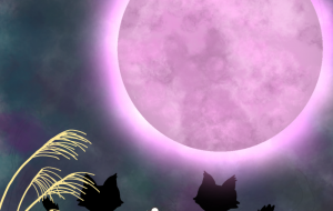 キャットインザムーン - ダイヤモンドリリー 