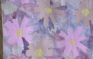 秋　コスモス - 名もなき米3号 