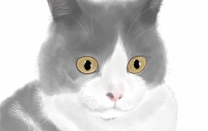 むうにゃ - 流輝 (ルキ) 