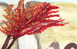 秋の滝とリス - 柴田 和子 