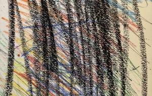 アール・ブリュット挑戦 - 笹谷正博 