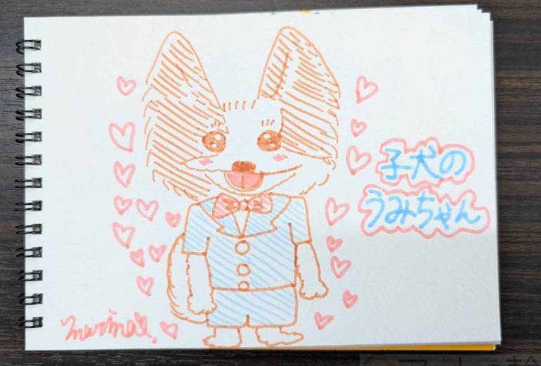 子犬のうみちゃん