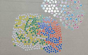 白黄色緑と赤青 - りょうま 