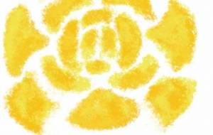 きいろのいちりん - おかp