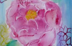 月桂冠 - サオリ